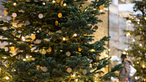 Ein leuchtender Weihnachtsbaum steht vor einem Kaufhaus.