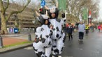 Zwei Jecken in aufblasbaren Kuh-Kostümen