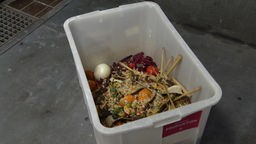 Lebensmittel-Abfälle aus der Wuppertaler Mensa