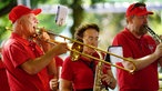 Fotos der Vierdaagse 2024