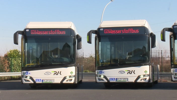 Ein Teil der Wasserstoff-Bus-Flotte in Hürth steht auf einem Parkplatz