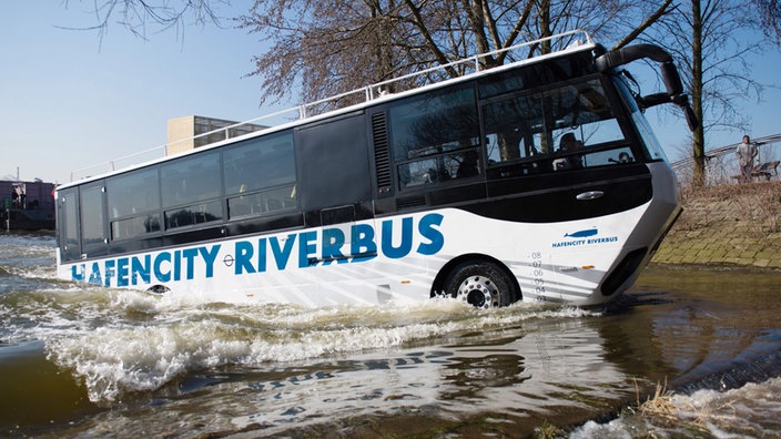 Gutachten Wasserbusse sind für Köln sinnvoll Rheinland