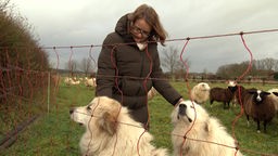 Schäferin Christiane Rittmann aus Schermbeck-Gahlen mit zwei ihrer Herdenschutzhunde