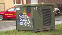 Ein Graffiti pro Wölfin Gloria
