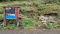 Es ist ein Wanderweg mit einer Infotafel zu sehen 