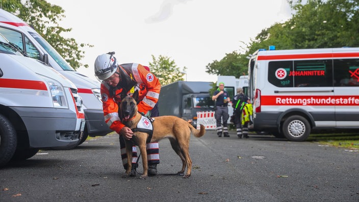 Helferin der Johanniter mit einem Rettungshund. Im Hintergrund sieht man mehrere Einsatzfahrzeuge.