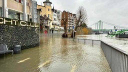 Hochwasser in Köln-Rodenkirchen