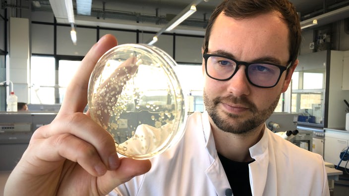 Mikrobiologe untersucht Labor Malodor-Bakterien