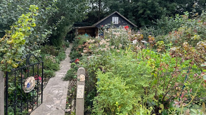 Viele unterschiedliche Blumen blühen im Kleingarten von Ingeborg Krause