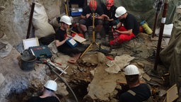 Menschen mit weißen Schutzhelmen bei Ausgrabungen in der Blätterhöhle