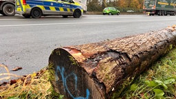 Das Bild zeigt einen der Baumstämme der von dem LKW gefallen ist.