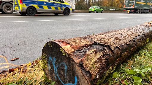 Das Bild zeigt einen der Baumstämme der von dem LKW gefallen ist.