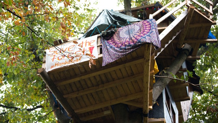 Ein Baumhaus im Hambacher Forst