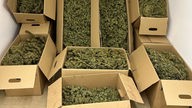 Man sieht acht Pappkartons, die beieinander gestapelt  und mit Cannabis gefüllt sind. 