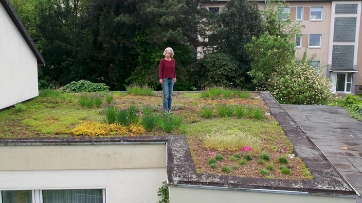 Ulrike Raasch steht auf dem begrünten Dach ihres Hauses. 