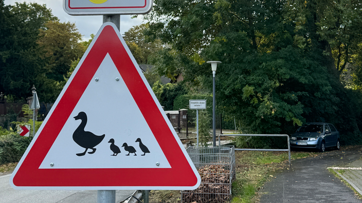 Ein dreieckiges Verkehrsschild mit der Abbildung von vier Enten