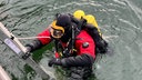 Ein Taucher klettert über eine Leiter ins Wasser.