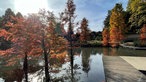 Teich und Herbstbäume im Grugapark