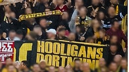 Fahne der Hooligans Dortmund (Screenshot: Südtribüne Dortmund)