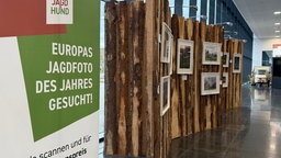 "Europas Jagdfoto des Jahres" wird 2025 erstmals auf der "Jagd & Hund" gekürt