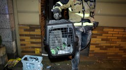 Ein Feuerwehrmann hält die gerettete Katze in einer Transportbox 