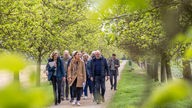 Mehrere Frauen und Männer laufen durch eine Allee in Kleve und begutachten die Umgebung.