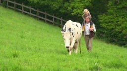 Bio-Landwirt Günther Maas mit Kind auf der Weide bei einer Milchkuh