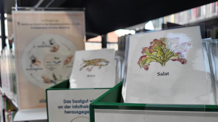 Mehrere Tütchen mit Saatgut, im Vordergrund eine mit der Aufschrift Salat 