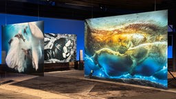 Ausstellung Planet Ozean eröffnet morgen im Gasometer Oberhausen