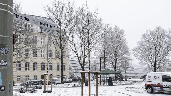 Blick auf verschneiten Platz mit jungen Bäumen in Gelsenkirchen