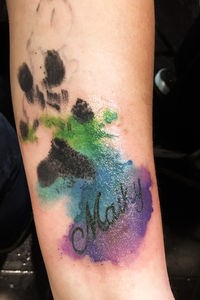 Halbfertiges Tattoo eines Pfotenabdrucks mit Regenbogenfarben unterlegt auf dem Unterarm