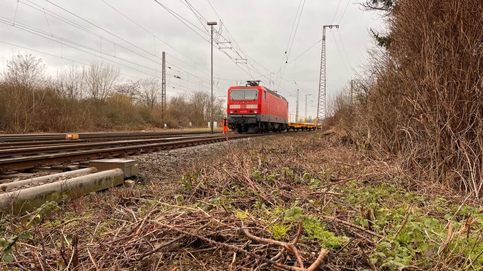 Der am Unfall beteiligte Zug steht am Freitagvormittag noch auf den Gleisen in Recklinghausen
