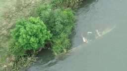 Historisches versunkenes Fahrgastschiff "Moornixe" wohl in der Ruhr bei Mülheim entdeckt (Drohnen-Luftaufnahme)