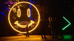 Installation des Lichtfestival "Zoolichter" in Duisburg