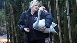 Sandra Swart hält einen Schwan unterm Arm