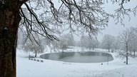 Verschneiter Bielefelder Bürgerpark