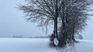 Um circa 4/5Uhr hat der Schnee eingesetzt