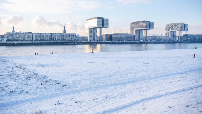 Verschneite Wiesen am Rhein