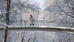 Verschneite Brücke im Kölner Grüngürtel