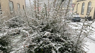 In Velbert-Neviges ist der Schnee auf Straßen und Bäumen liegen geblieben