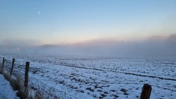 Nebel auf einem Feldweg in Solingen