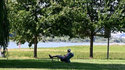 Ein Mann hat sich ein schattiges Plätzchen am Ufer des Rheins gesucht
