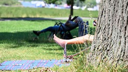 Menschen liegen auf einer Wiese am Rhein