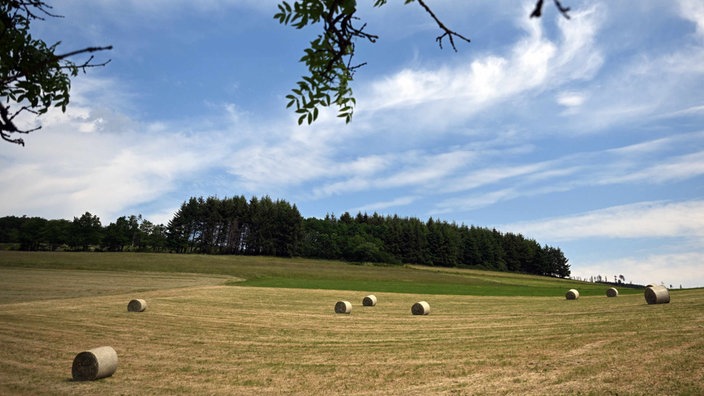 Wolken ziehen über Heuballen, die auf einer Wiese liegen