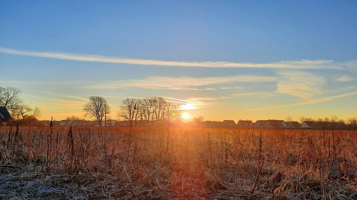 Sonne über den gefrorenen Feldern in Gütersloh 