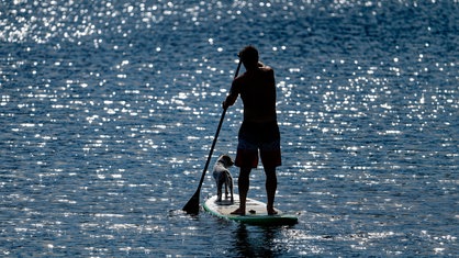  Ein Mann und ein Hund fahren auf einem Stand up Padel Board