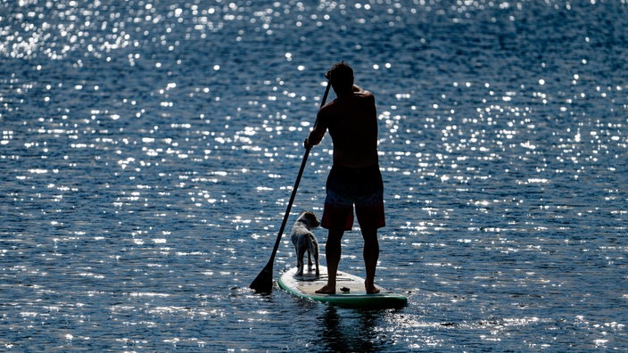  Ein Mann und ein Hund fahren auf einem Stand up Padel Board