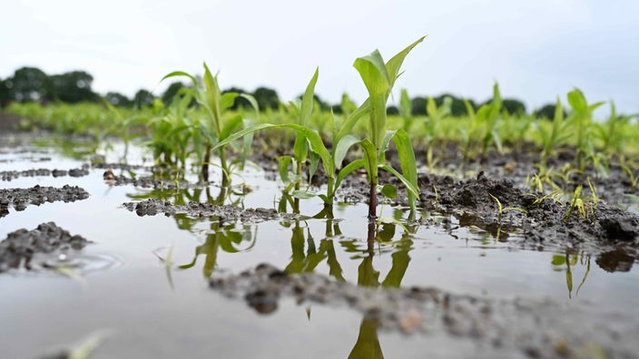 Überflutete Felder erschweren die Arbeit der Landwirte