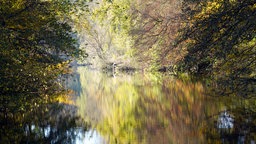 Die Stever in Haltern am See im Herbst