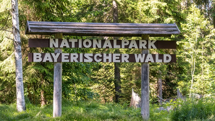 12.06.2020, Bayern, Neuschönau: "Nationalpark Bayerischer Wald" steht auf einem Schild im Nationalpark.